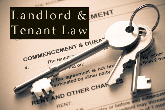 Top Rated Asset protection advocates in Chennai