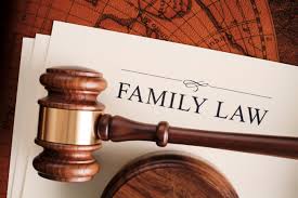 Top Family Court Lawyers in Chennai – Child Custody and Domestic Violence Advocates